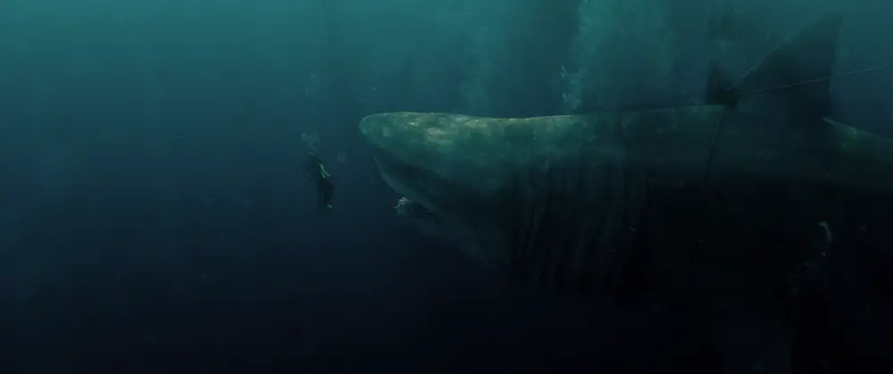 The Meg (2018)