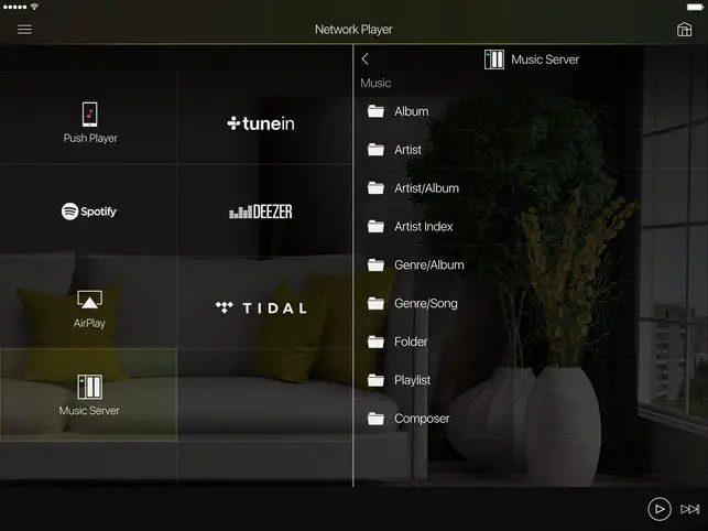 Pioneer Remote App