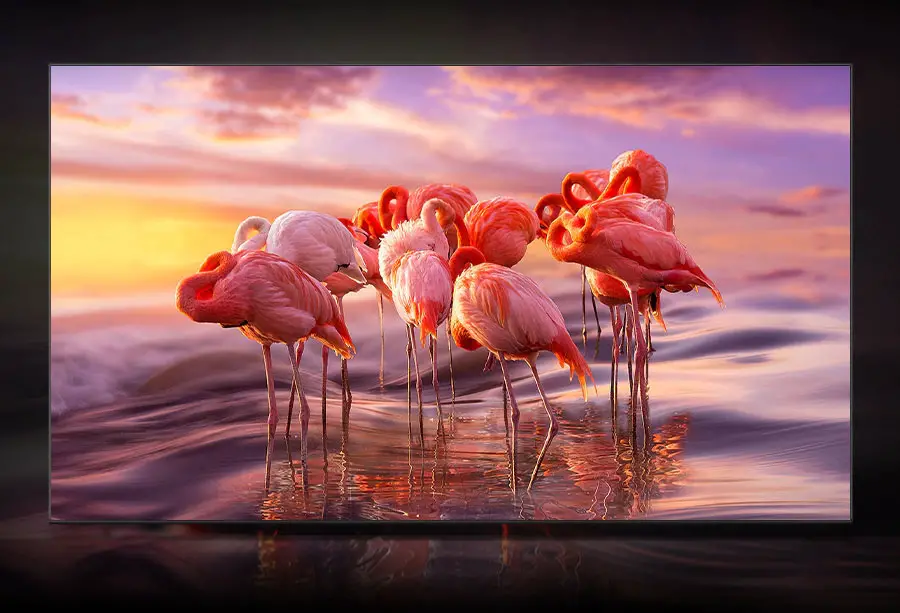 Samsung Q80B Review (2022 4K QLED TV)