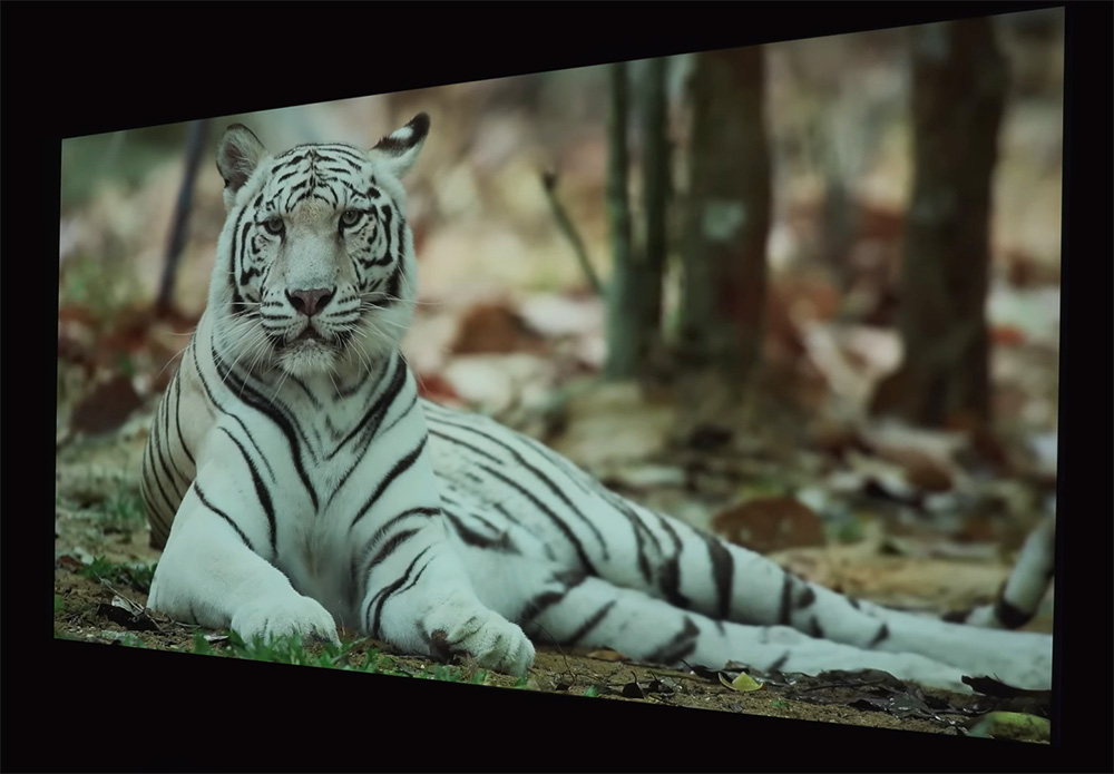 LG G3 OLED Review (2023 4K OLED TV)